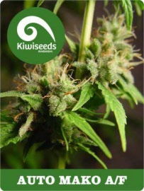 kiwi-seeds-auto-mako-haze