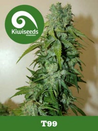 kiwi-seeds-t99