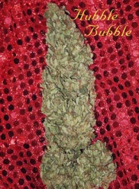 mandala-seeds-hubble-bubble