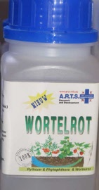 wortelrot-arts-pythium-phytophtora